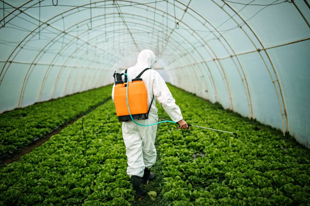 Best Affordable Pest Control Services  in Key Biscayne, FL