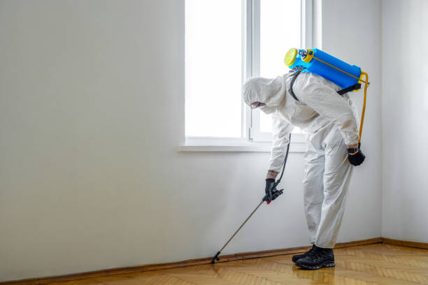 Best Ant Control Services  in Key Biscayne, FL