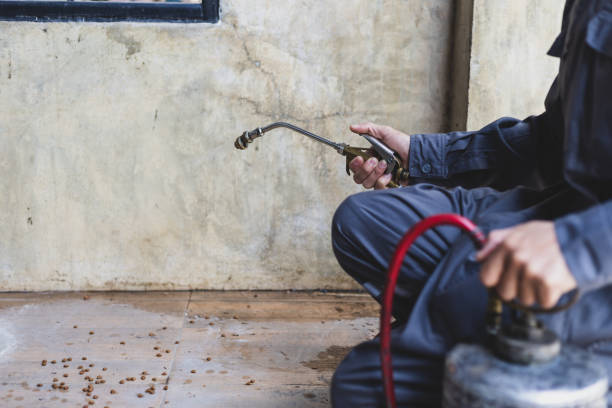 Best Wasp Removal Services  in Key Biscayne, FL